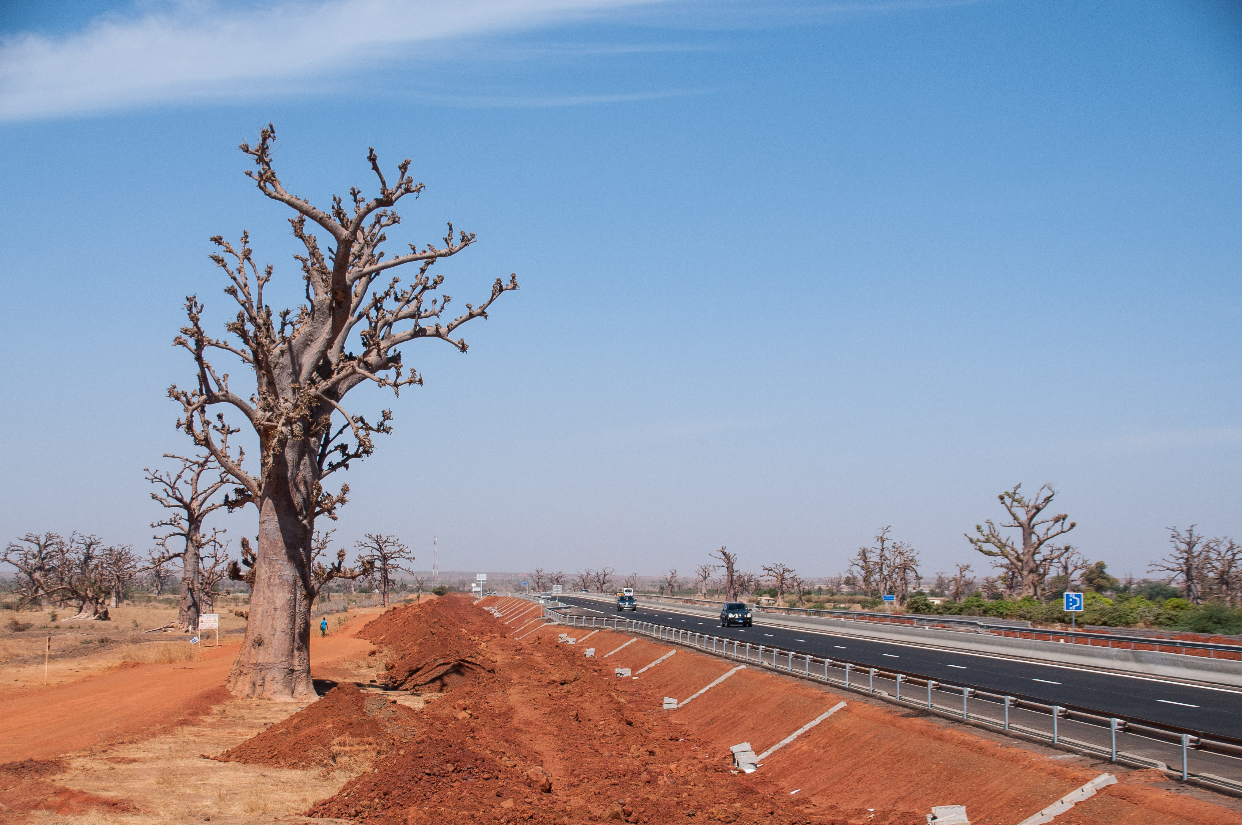 L'autoroute Dakar-M'Bour traversant la forêt des baobabs près de Ngekhoch.